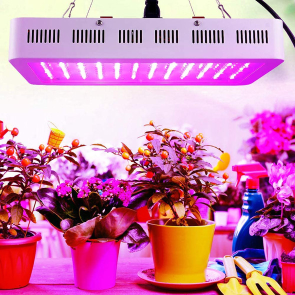 LED Grow Light