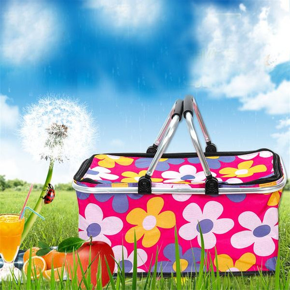 foldable-picnic-cooler-bag-snatcher-online-shopping-south-africa-21679187525791.jpg