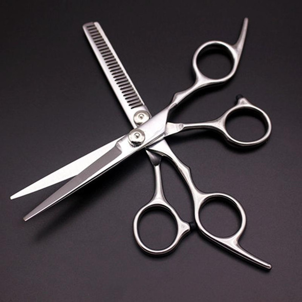 Fashion Durable Sharp Hairdressing Hair Cutting Shears/Scissors and Barber Thinning Tooth Shear(Silver Thinning scissor)