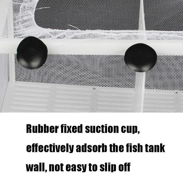 Large Aquarium Incubator Small Fish Isolation Box Net Tropical Fish Breeding Box