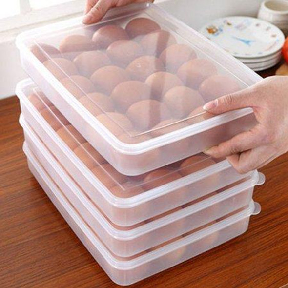 Egg Storage Organizer
