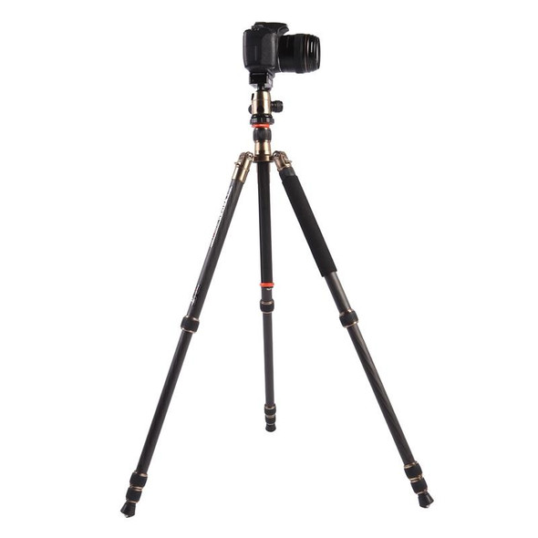 Triopo GT-2504X8.C Adjustable Portable Carbon Fiber Tripod with B-1 Aluminum Ball Head for Canon Nikon Sony DSLR Camera