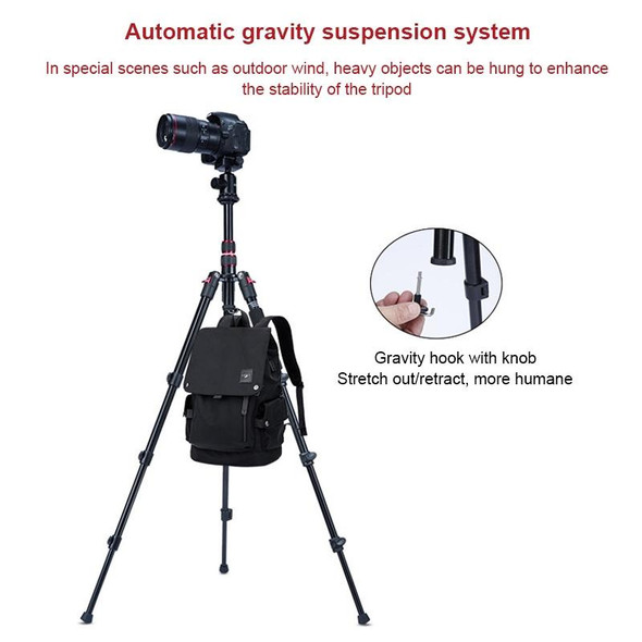 TRIOPO K2508S+B1S Adjustable Portable  Aluminum Alloy Tripod with Ball Head for SLR Camera(Black)