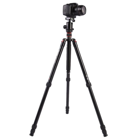 Triopo MT-2804C Adjustable Portable Aluminum Tripod (Gold) with NB-2S Ball Head (Black) for Canon Nikon Sony DSLR Camera