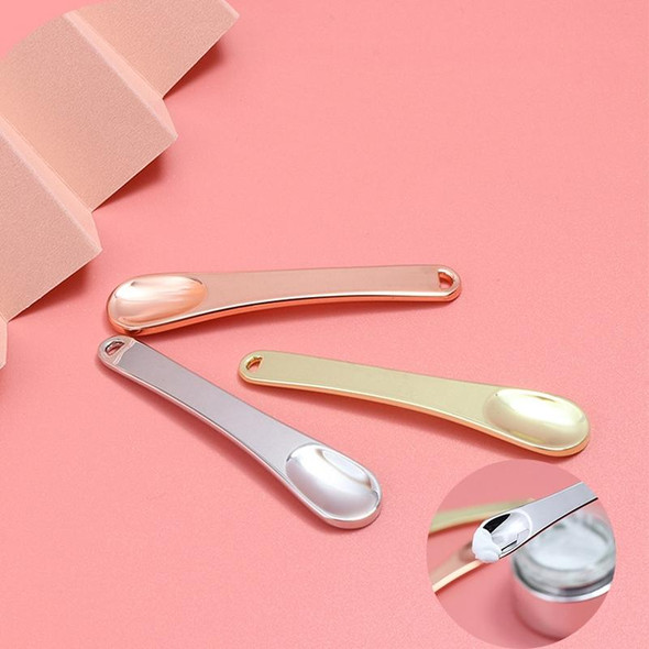 10 PCS Zinc Alloy Cosmetics Spoons Cream Split Spoon(Silver)