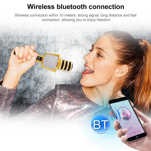 SD17 Phone Karaoke Wireless Bluetooth Microphone (Black)