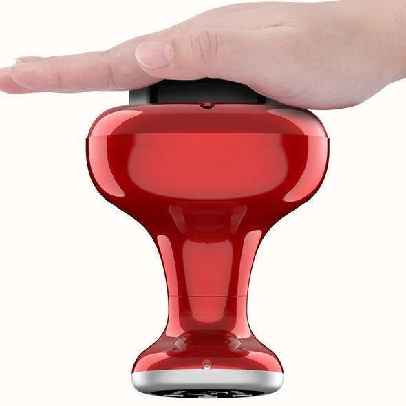 Multifunctional Electric Scraping Instrument Meridian Massager, Style:808 Charge(Red)