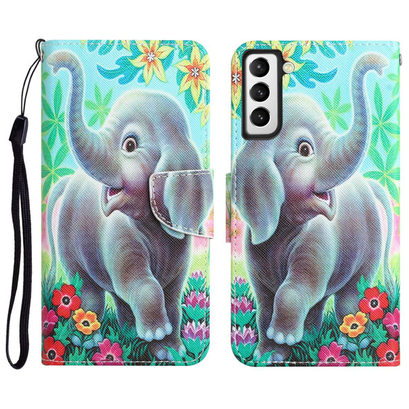 Samsung Galaxy S21+ 5G Colored Drawing Leather Phone Case(Elephant)