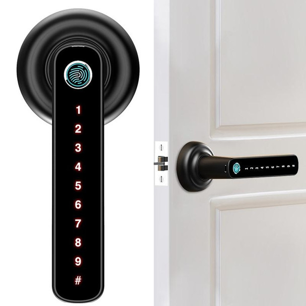 F21 Wooden Door Fingerprint Lock Office Apartment Homestay Smart Lock