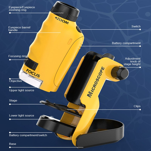 2 in 1 Hand-Held Scientific Microscope