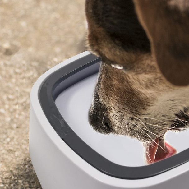 Pet Water Bowl