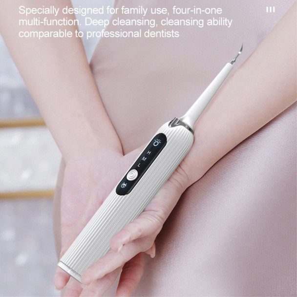 CK01 Household Electric Toothbrush Dental Calculus Tartar Remover Waterproof Rechargeable Sonic Tooth Cleaner with LED Light - Black