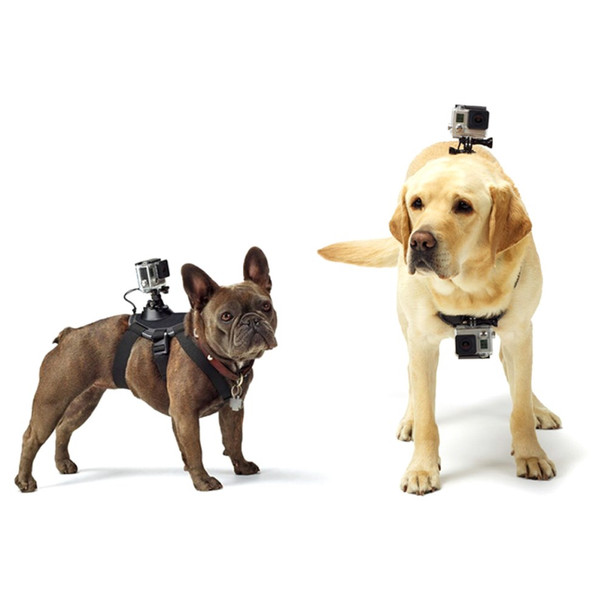 PULUZ PU156 Hound Dog Fetch Harness Adjustable Chest Strap Mount for GoPro HERO Cameras - Black