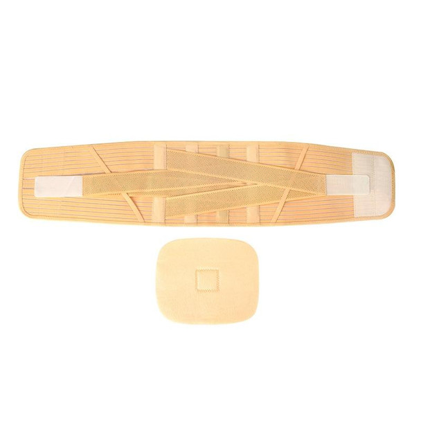 2 PCS Breathable Waist Belt Steel Plate Support Waist Fixed Lumbar Support Sports Waist Belt, Specification: L