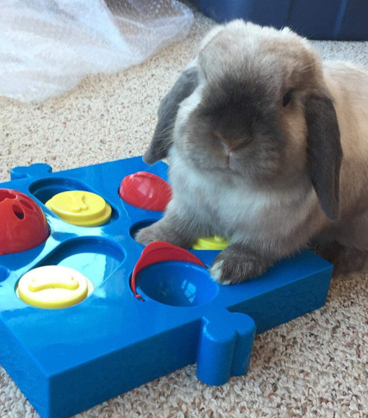 Interactive Pet Treat Puzzle With 6 Cups