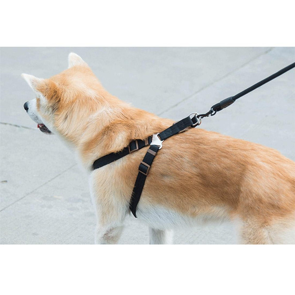 Pet Dog Collar + Harness + Leash Three Sets, M, Harness Chest Size: 43-67cm, Collar Neck Size: 33-52cm, Pet Weight: 15kg Below(Black)