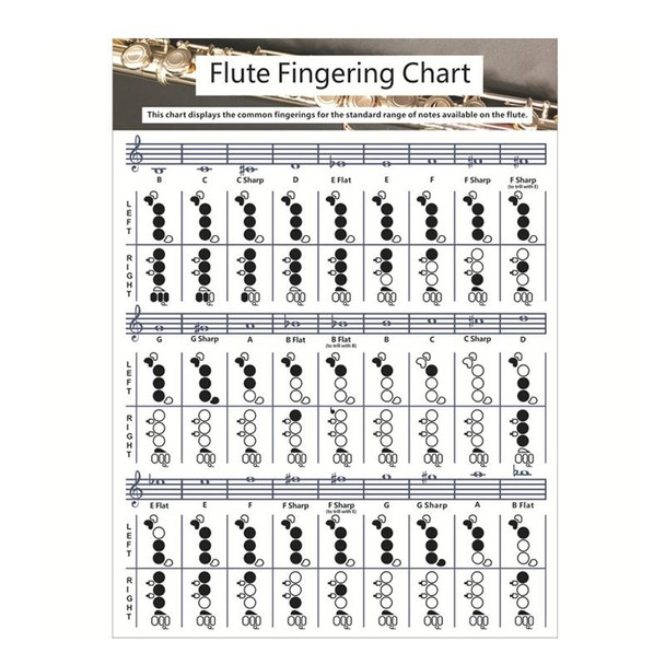 Coated Paper Flute Chord Fingering Practice Chart Staff Chord Fingering(Small)