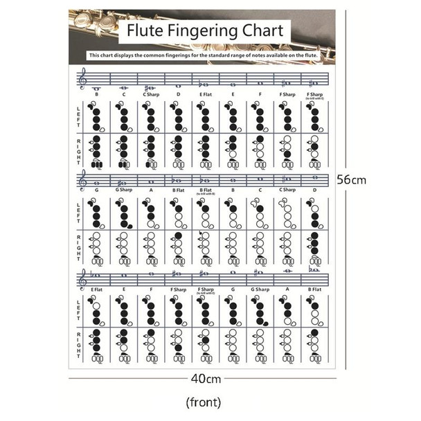 Coated Paper Flute Chord Fingering Practice Chart Staff Chord Fingering(Large)