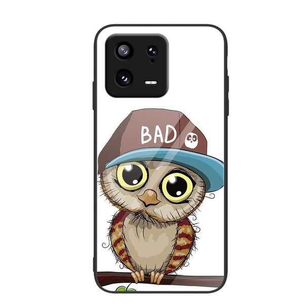 For Xiaomi 13 Colorful Painted Glass Phone Case(Owl)