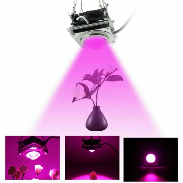 COB Plant Growth Light LED Vegetable Planting Succulent Light, Light:Full Spectrum(US Plug 110V)