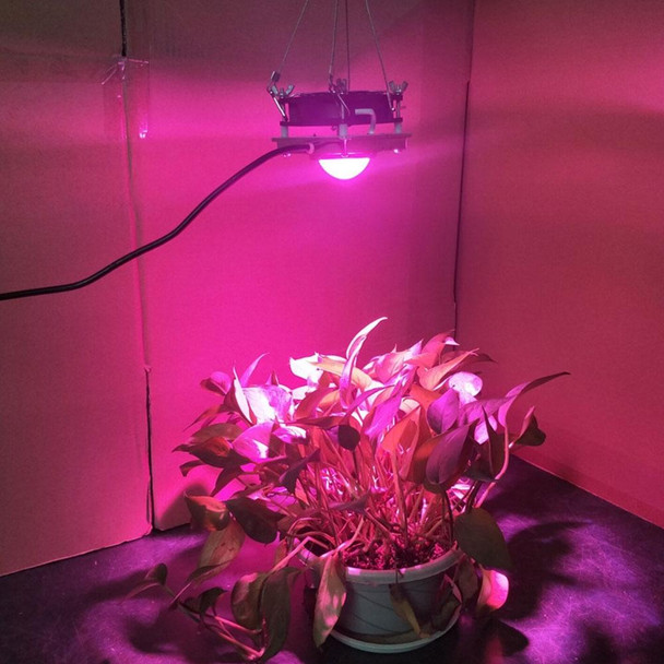 COB Plant Growth Light LED Vegetable Planting Succulent Light, Light:Full Spectrum(AU Plug 220V)