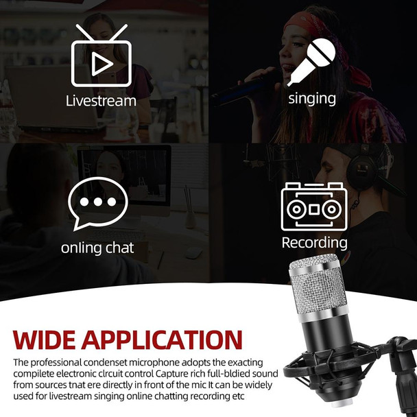 A9 USB Computer Phone Live Broadcast Microphone National K Song Recording Wired Microphone With Cantilever Stand