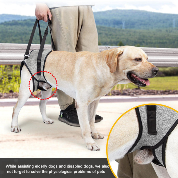 Dog Hind Leg Auxiliary Strap Decompression Auxiliary Travel Belt For Elderly and Injured Dog, Size: L