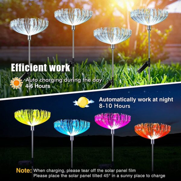2 Piece Solar Powered Garden Lights