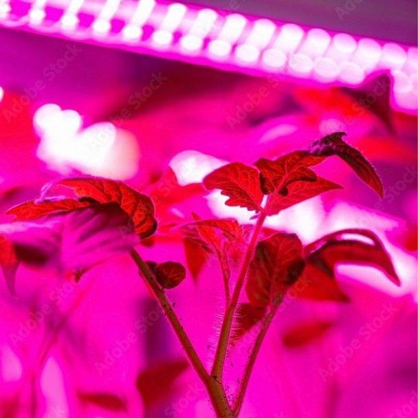 LED Waterproof Strip Plant Grow Light