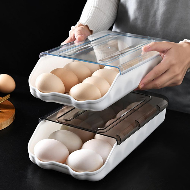 Egg Storage Container