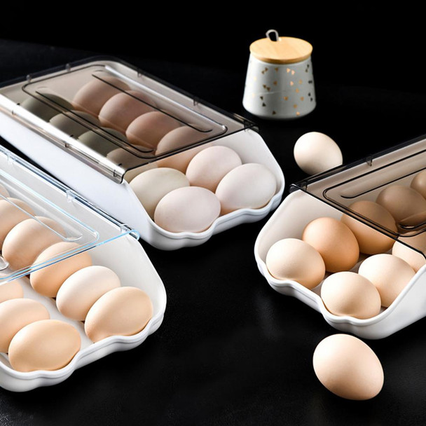 Egg Storage Container