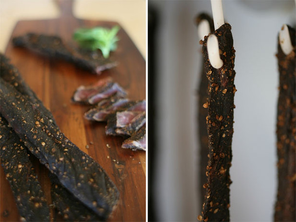 Salton Biltong Maker