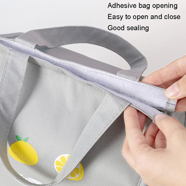Square Fruit Large Capacity Picnic Insulation Bag Waterproof Bento Bag(Gray)