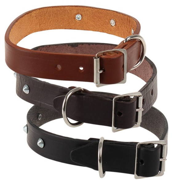 25 mm Leather Riveted Dog Collar