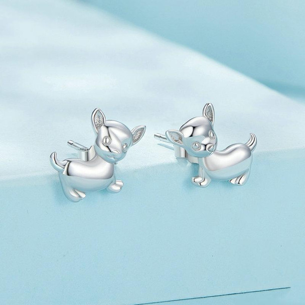 Sterling Silver S925 Platinum Plated Cute Chihuahua Dog Earrings