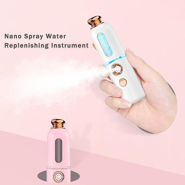 Facial Steamer Nano Spray Water Replenishing Instrument Portable Cold Spray Machine Charging Beauty Instrument Automatic Alcohol Sprayer, Style:Crown(White)