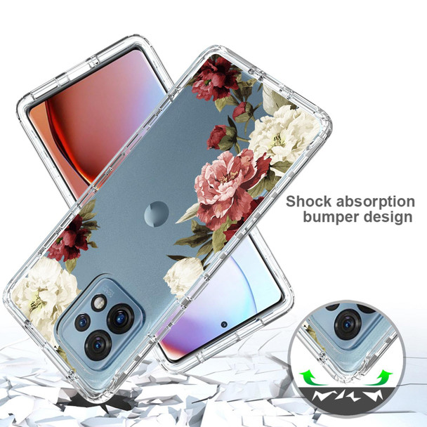 For Motorola Edge+ 2023 Transparent Painted Phone Case(Rose)