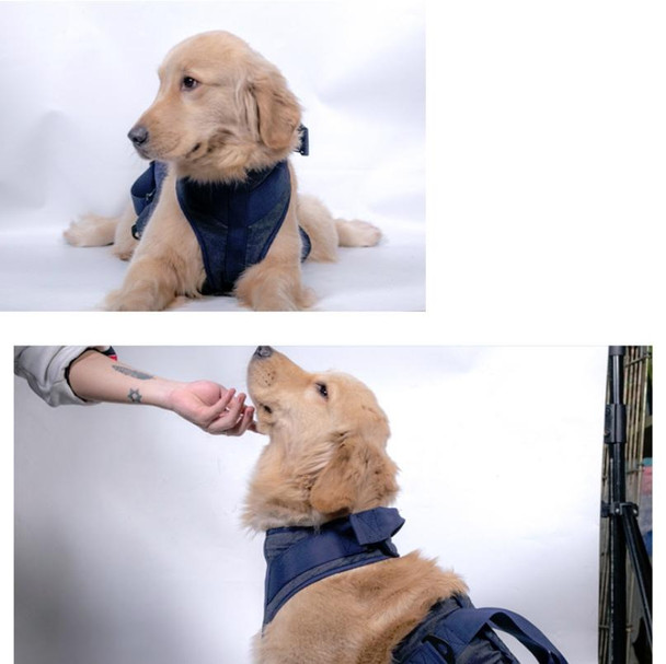 Pet Leash Senior Dogs Walking Aids Chest Harness, Size: XS(Dark Blue)