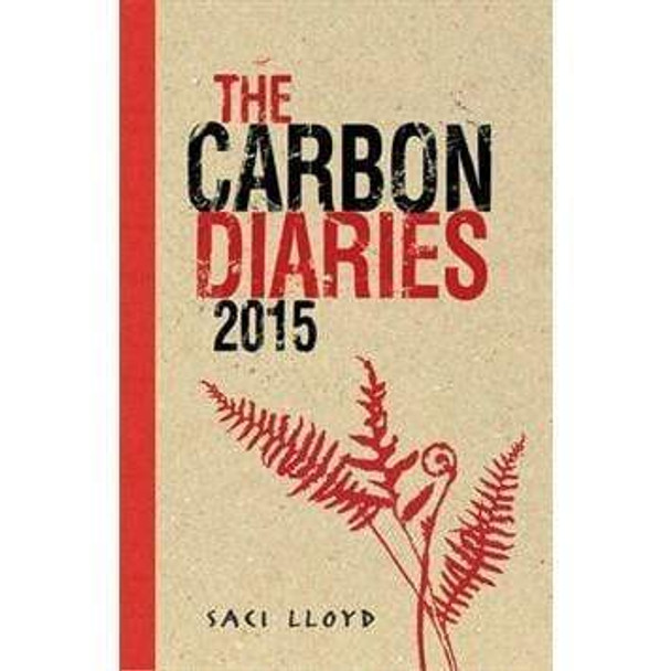 the-carbon-diaries-2015-snatcher-online-shopping-south-africa-28102667796639.jpg