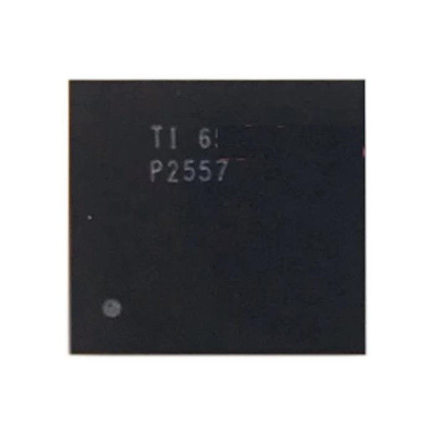 Audio IC Module P2557