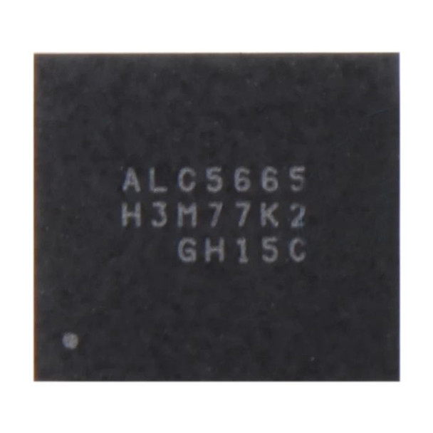 Audio IC Module ALC5665