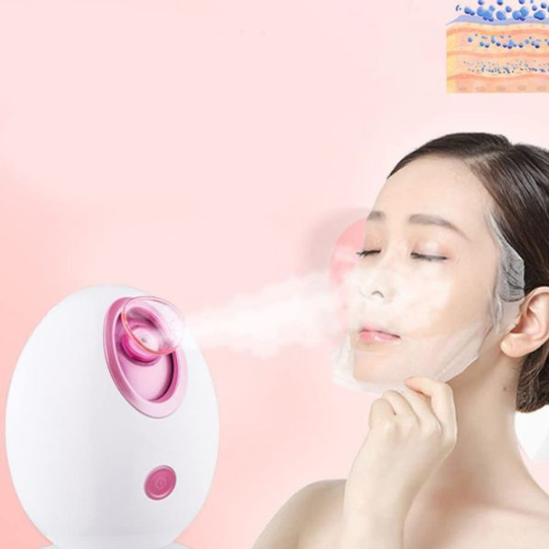 Portable Facial Steamer