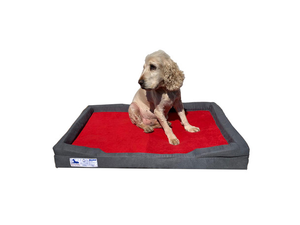 Dog-O-Pedic Throne Memory Foam Orthopedic Mattress