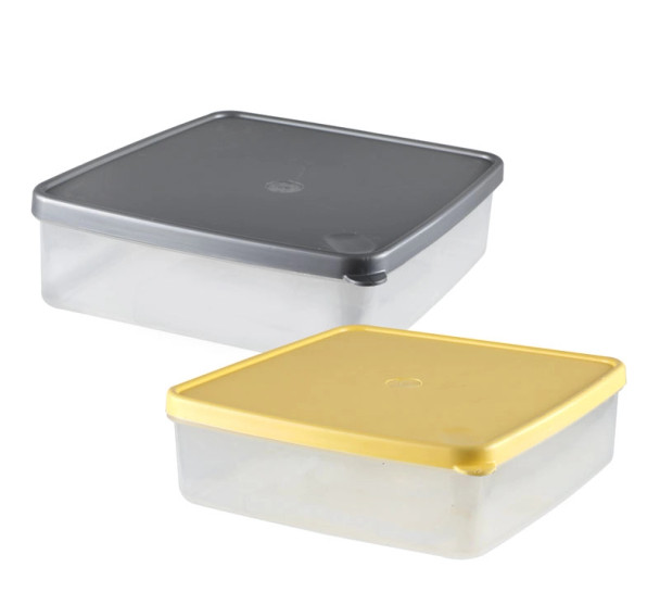 Food Storage Container 2L