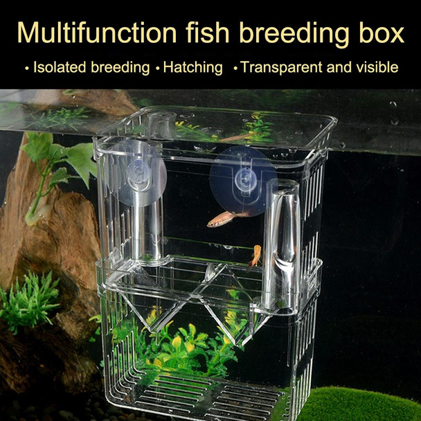 Extra Large Peacock Fish Double Layer Transparent Breeding Isolation Box Aquarium Breeding Box