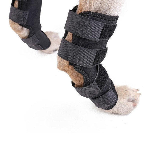 DogLemi PD60041 Dog Hock Brace Pet Supportive Rear Dog Compression Leg Joint Wrap Protects Wounds and Injury, Size:M