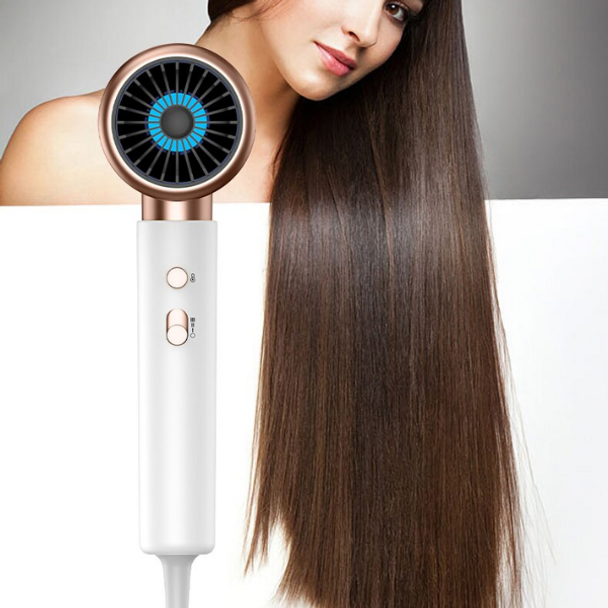 2400W Professional Hair Dryer