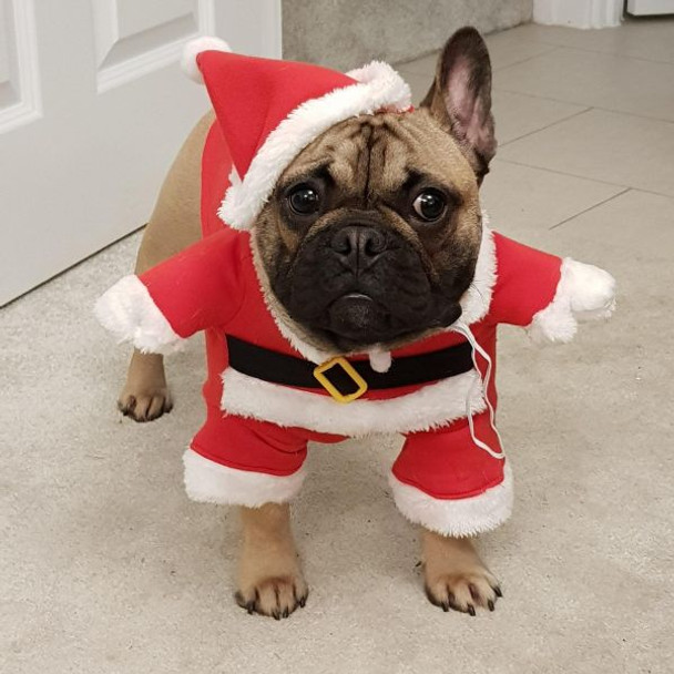 Christmas Pet Dog Dress Up Santa