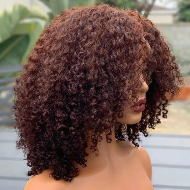 Afro Kinky Curly Wig Synthetic Hair