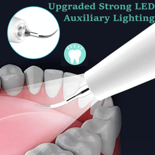 Ultrasonic Electric Dental Scaler Teeth Plaque Cleaner Dental Stone Removal With LED Light, Spec: Package A with Accessories